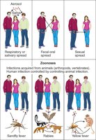Diagram of various portals of entry and zoonoses