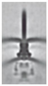 Injectosome in bacterial pathogenesis