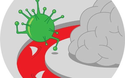Virus crossing the blood-brain barrier