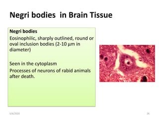 West Nile virus structure