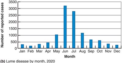 Epidemiological Graphs: Lyme Disease by Month