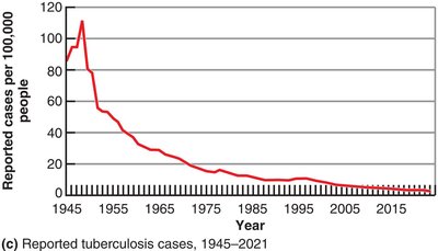 Epidemiological Graphs: Tuberculosis Cases