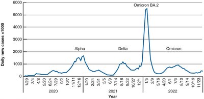 Reported COVID-19 Cases in the United States