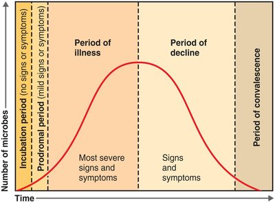 The Stages of a Disease