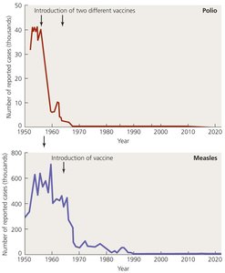 Graph showing the effect of immunization on polio and measles prevalence