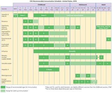 CDC recommended immunization schedule