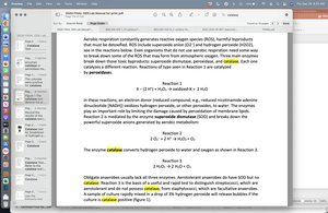 Catalase test reactions and highlighted text