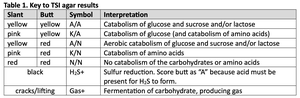 TSI agar results table