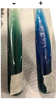 Citrate test tubes showing positive and negative results