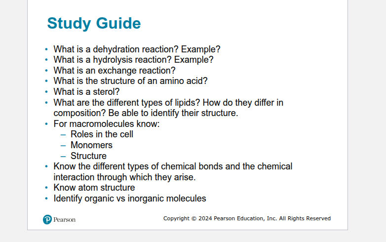 Study guide slide with chemistry and macromolecule topics