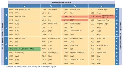 The genetic code table