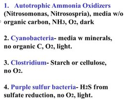 Examples of selective media for microbial isolation