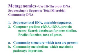 Metagenomics workflow and analysis