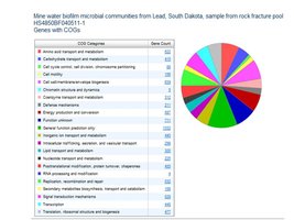 Metagenome analysis for metabolic pathways
