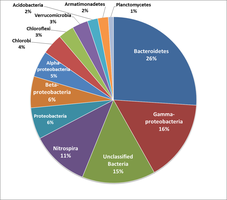 Pie chart of OTUs from rock pool biofilm