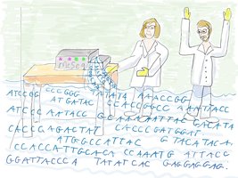 Data analysis after Illumina sequencing