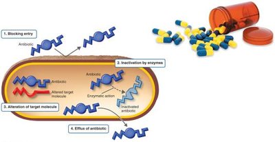 Bacterial resistance to antibiotics
