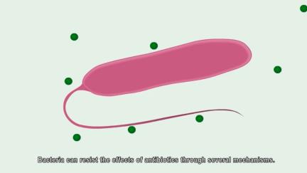 Animation: Antibiotic resistance mechanisms
