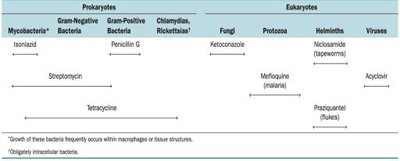 Spectrum of activity of antibiotics and other antimicrobial drugs