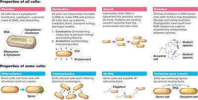 Properties of Microbial Cells