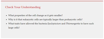 Microorganisms Vary Greatly in Size and Shape