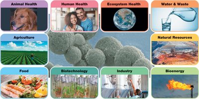 Microbial Cells