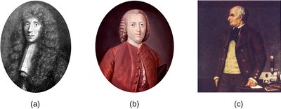 Portraits of Needham, Spallanzani, and Pasteur