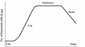 Bacterial growth curve showing lag, log, stationary, and death phases