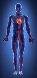 Diagram of systemic infection affecting the whole body