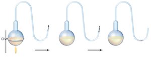 Pasteur's swan-neck flask experiment