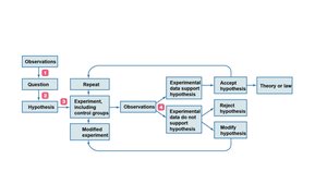 Flowchart of the scientific method