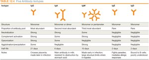Table of antibody isotypes