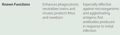 Known functions of IgG and IgM antibodies