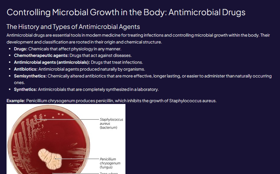 A petri dish showing Penicillium chrysogenum inhibiting the growth of Staphylococcus aureus