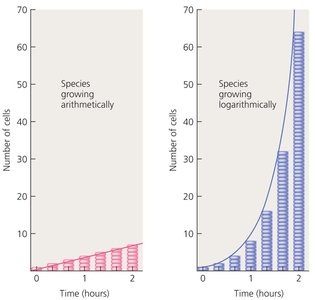 Logarithmic vs arithmetic growth