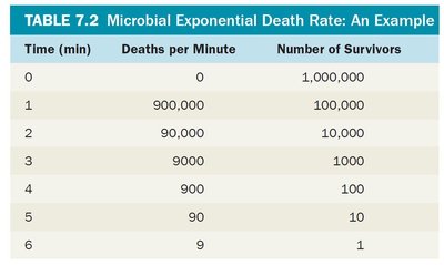 Microbial death curve: log and arithmetic plotting