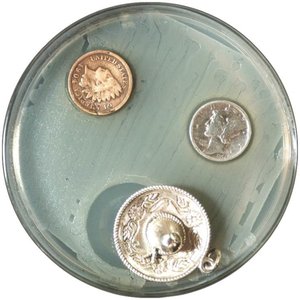 Effectiveness of chemical antimicrobials against endospores and mycobacteria