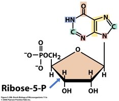 Ribose-5-phosphate structure