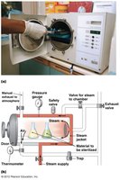 Autoclave and steam sterilization