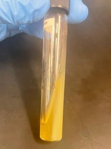 Agar slant in test tube