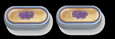 Visual representation of exponential bacterial growth and logarithmic scale