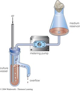 Chemostat diagram for continuous culture