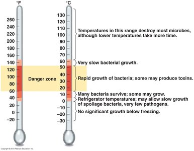 Food preservation temperatures and bacterial growth