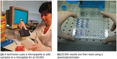 ELISA test