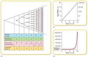Mathematics of population growth