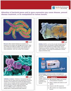Applications of microbial genetics
