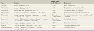 Table of common fermentations