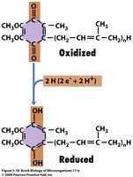 Quinone structure