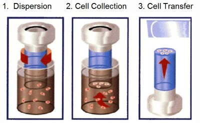 Cytology staining machine
