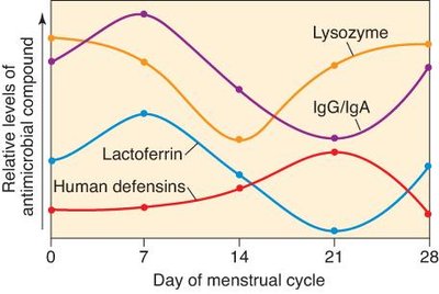 Immune defense mechanisms of the human vagina